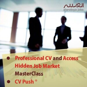 Executive Job Search Management Service